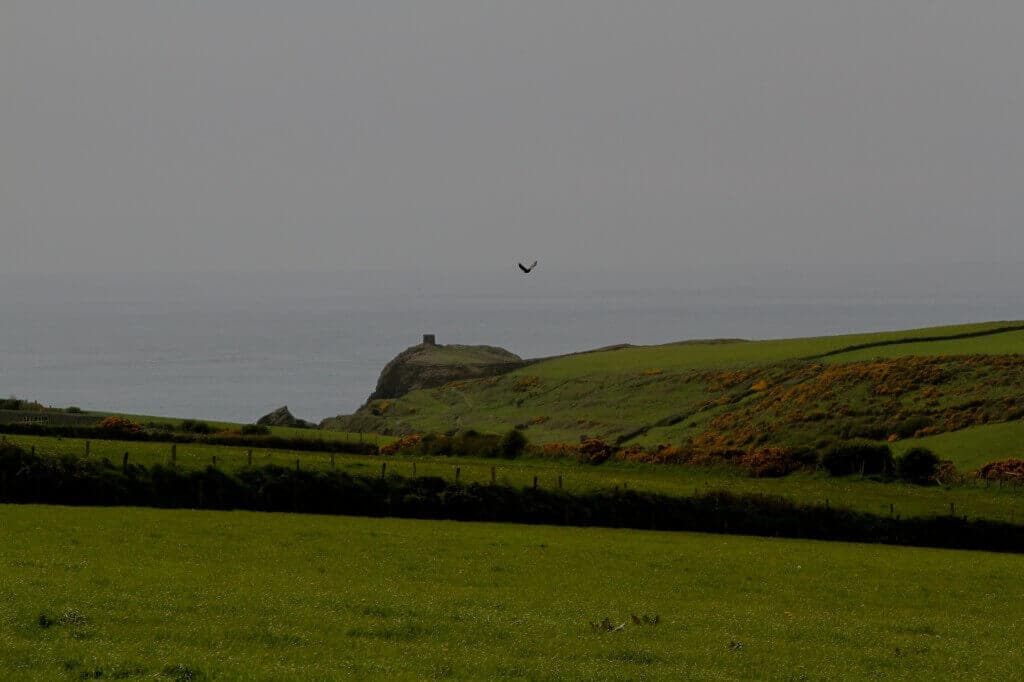 The campsite at Coastal Stay, looking across the valley toward the Pembrokeshire coast