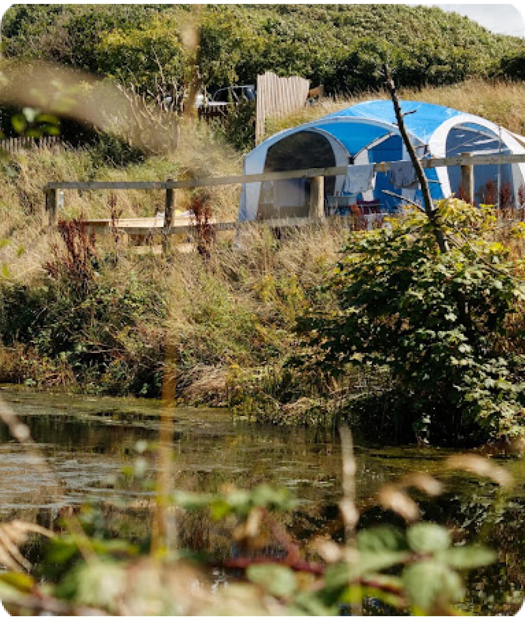 The lake on the small-holding at Coastal Stay, looking across to the valley