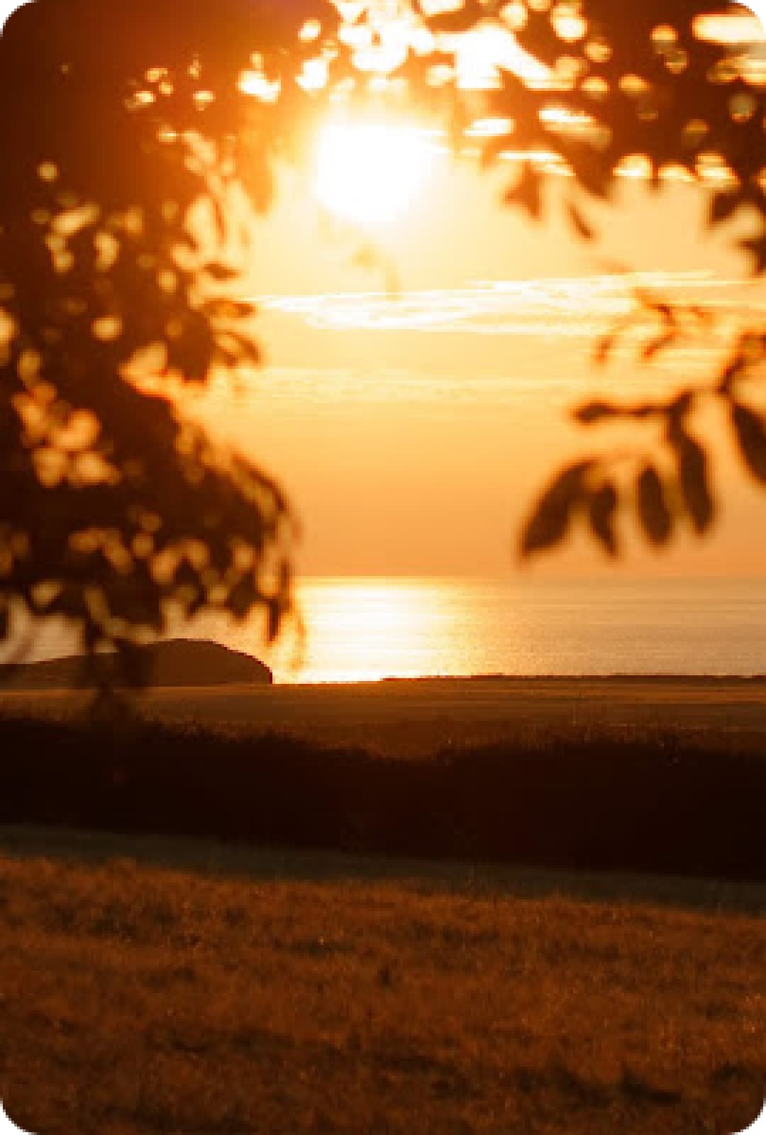 Sunset over the Pembrokeshire coast, the view from the Goat Sauna at Coastal Stay