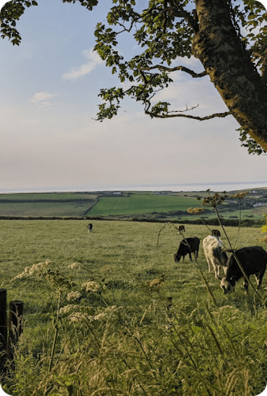 Pembrokeshire Coastal Beach