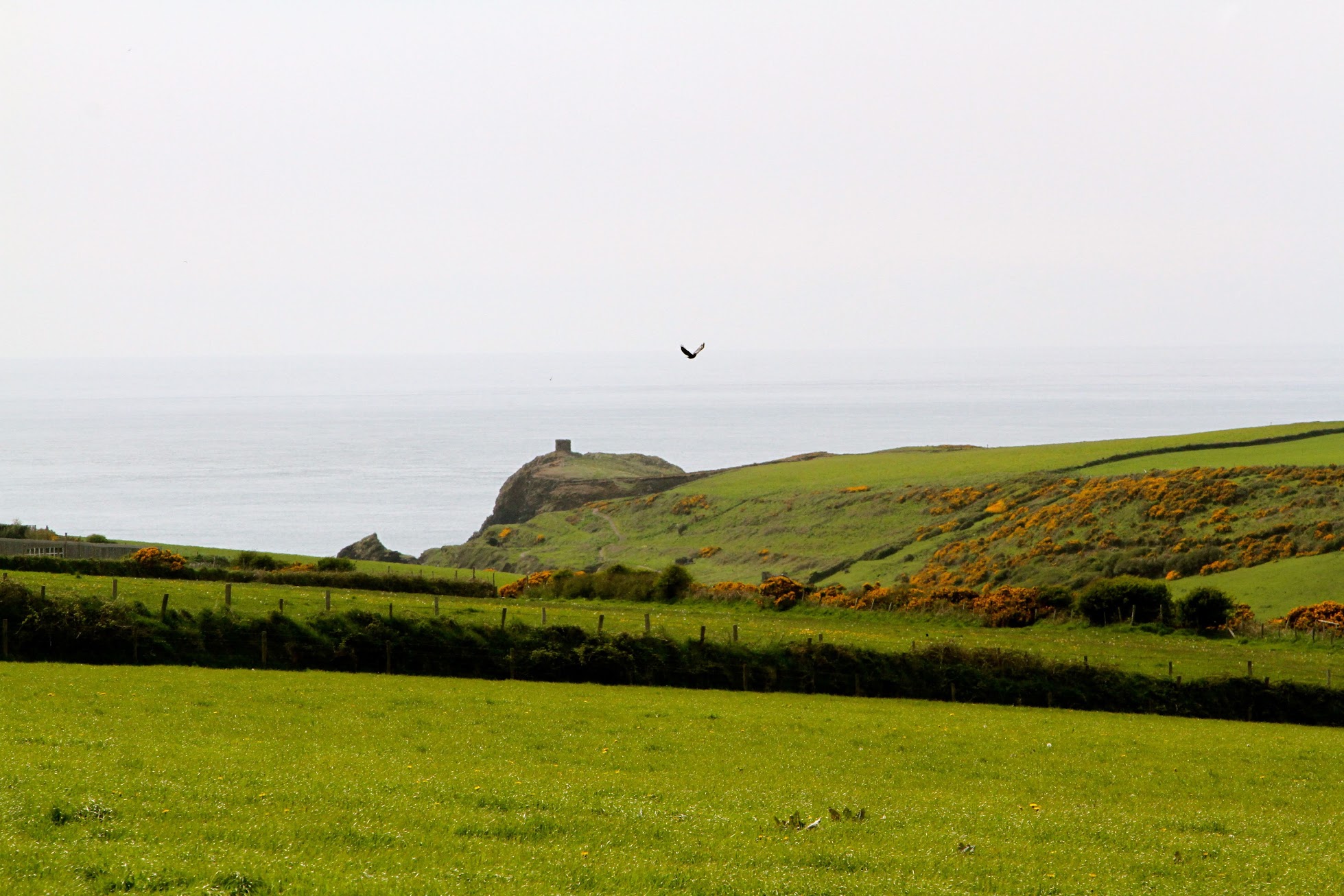 Coastal Stay